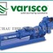 Bơm trục vít Varisco Chau Thien Chi