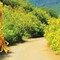 Tour Đà Lạt 2 ngày 2 đêm