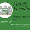 Bạn biết gì về Matrix Fucoidan