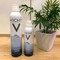 Xịt khoáng VICHY