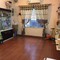 Bán nhà La Thành, Đống Đa, Ngõ ô tô vào, 50m2, 4T, 4,35Tỷ, Mua về ở ngay