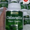 Diệp lục Chlorella: Hàng Vegan.