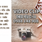 Dịch vụ làm video clip theo yêu cầu quảng cáo /sinh nhật /đám cưới/hội thảo /thôi nôi /kỉ niệm/tặng bạn bè người thân