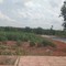Đất thổ cư, 2 mặt tiền 150m2 chỉ 380tr sổ hồng riêng, Đồng Phú, Bình Phước.
