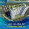 Ecolife Riverside Quy Nhơn Một bước chân chạm ngàn tiện ích