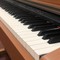 Piano điện Kawai CN33 rẻ nhất thị trường