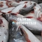 Địa chỉ bán cá basa fillet ở hà nội