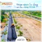 Sở hữu ngay đất biển Quảng Ngãi mùa covid giá chỉ 850 triệu