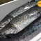 Những lý do khiến cá hồi Nauy hãng Salmar nổi tiếng toàn thế giới