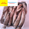 Mực trứng đông lạnh hàng đẹp Ship từ 5kg