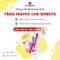 Tăng traffic website nhanh chóng giá rẻ