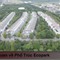 Bán nhà phố Trúc ecopark nhà đã hoàn thiện đẹp