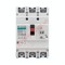Elcb Fuji EW 4P series