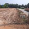 Bán đất đường nhựa D7 Kp4, thị trấn Châu Thành, Tỉnh Tây Ninh.