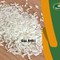 Gạo ngon 5451 tốt cho người tiêu dùng