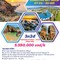 Tour Quy Nhơn 3N2Đ chỉ 5.590.000/Khách flc 5 Saco Travel