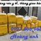 Thùng giao bánh kẹo sau xe máy, thùng giao cơm hộp, thùng giữ nhiệt