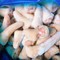 Đuôi heo đông lạnh kg thucpphamvietnm.vn