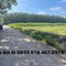Cần bán đất chơn thành, bình phước 350tr ngân hàng hỗ trợ 50%. Gọi ngay 0933 018 467 0978 787 009 2