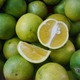 Feelingfood avatar