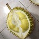 nongsanviet365 avatar