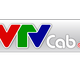 VTVcab avatar