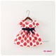 dorothyshop avatar