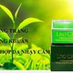 thuylinhnguyen91 avatar