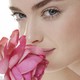 DC_Shop avatar
