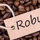 CafeXanh avatar