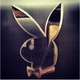 RabbitStoreHN avatar