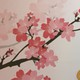 hienvn88 avatar