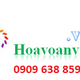 HoaVoanVip avatar
