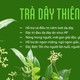 tradayminhkhoa avatar