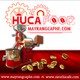 MayrangcapheHucafood avatar