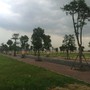  mua sắm online 