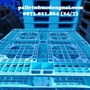 Pallet nhựa cũ tại TPHCM, liên hệ 0973021864 (24/7) mua sắm online 