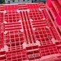 Pallet nhựa cũ tại Sài Gòn, liên hệ 0973021864 (24/7) mua sắm online 