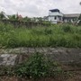  mua sắm online 