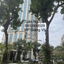  mua sắm online 