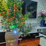  mua sắm online 