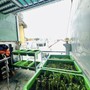  mua sắm online 