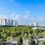  mua sắm online 